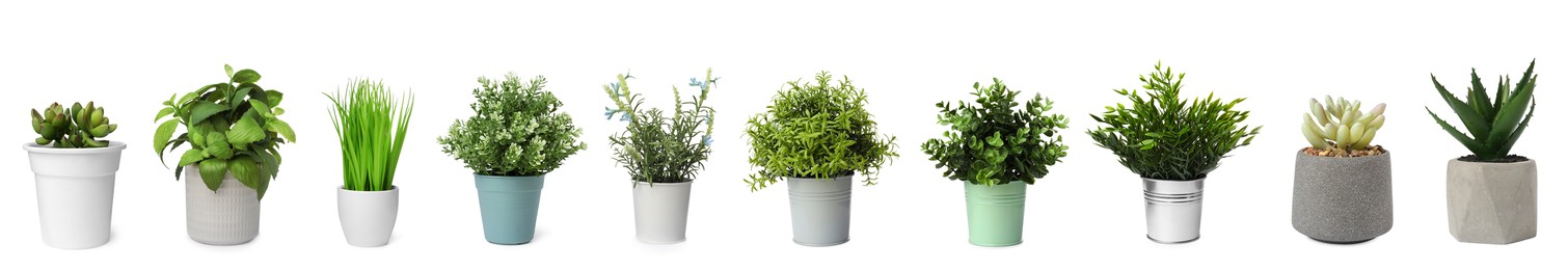 Image of Set of artificial plants in flower pots isolated on white