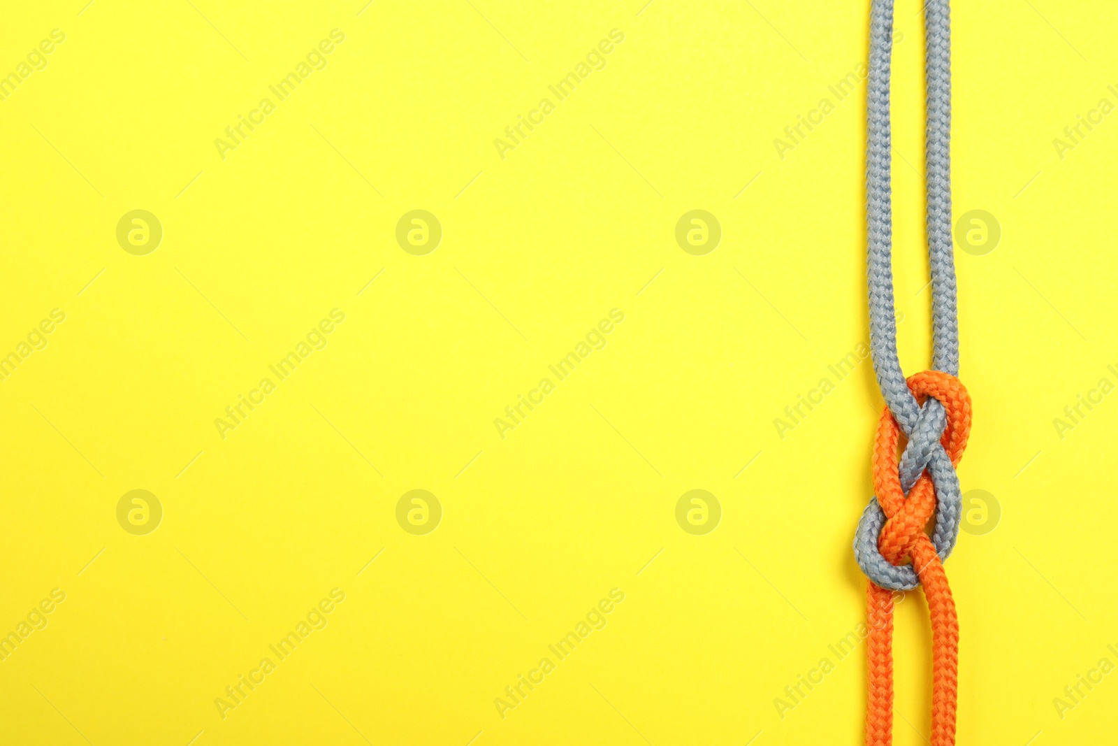 Photo of Top view of colorful ropes tied together on yellow background, space for text. Unity concept