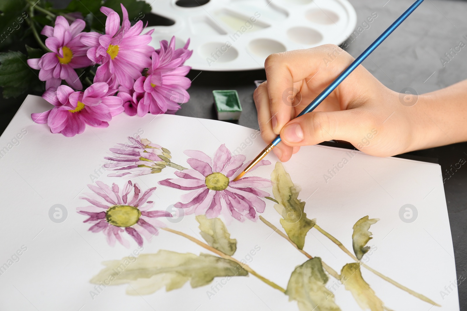 Photo of Woman drawing beautiful chrysanthemum flowers in sketchbook at black table, closeup