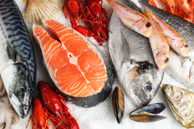 Photo of Fresh fish and seafood on ice, closeup