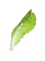 Photo of Fresh leaf of green romaine lettuce isolated on white