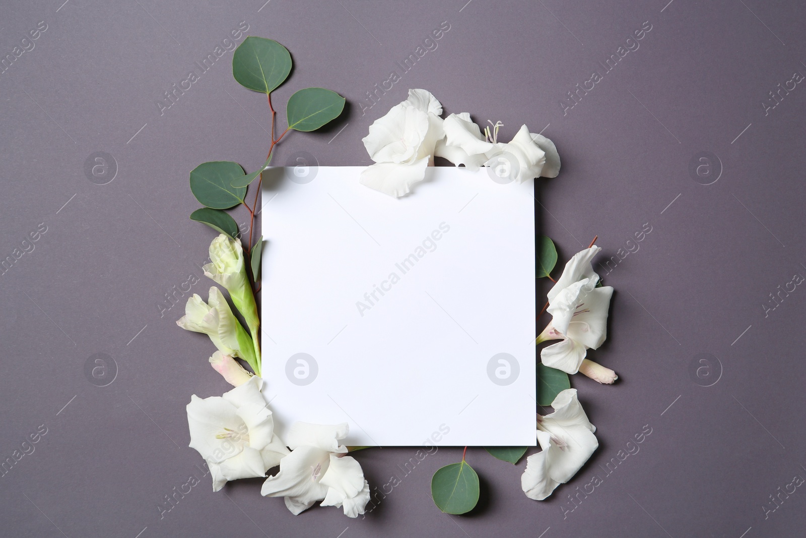 Photo of Beautiful gladiolus flowers with blank card on dark background, top view