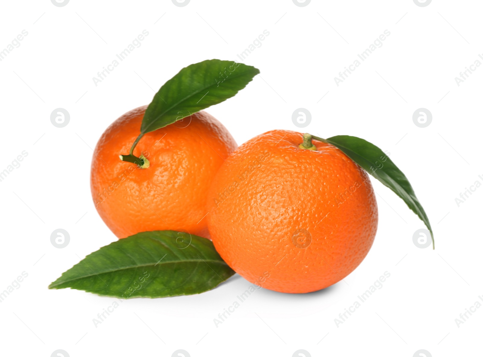 Photo of Fresh ripe oranges with green leaves on white background