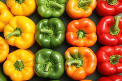 Photo of Raw ripe paprika peppers on color background, top view