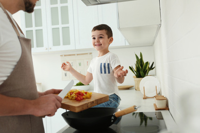 Photo of Father and son cooking together in kitchen, closeup