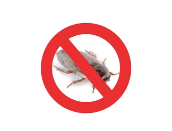 Image of Cockroach with red prohibition sign on white background. Pest control