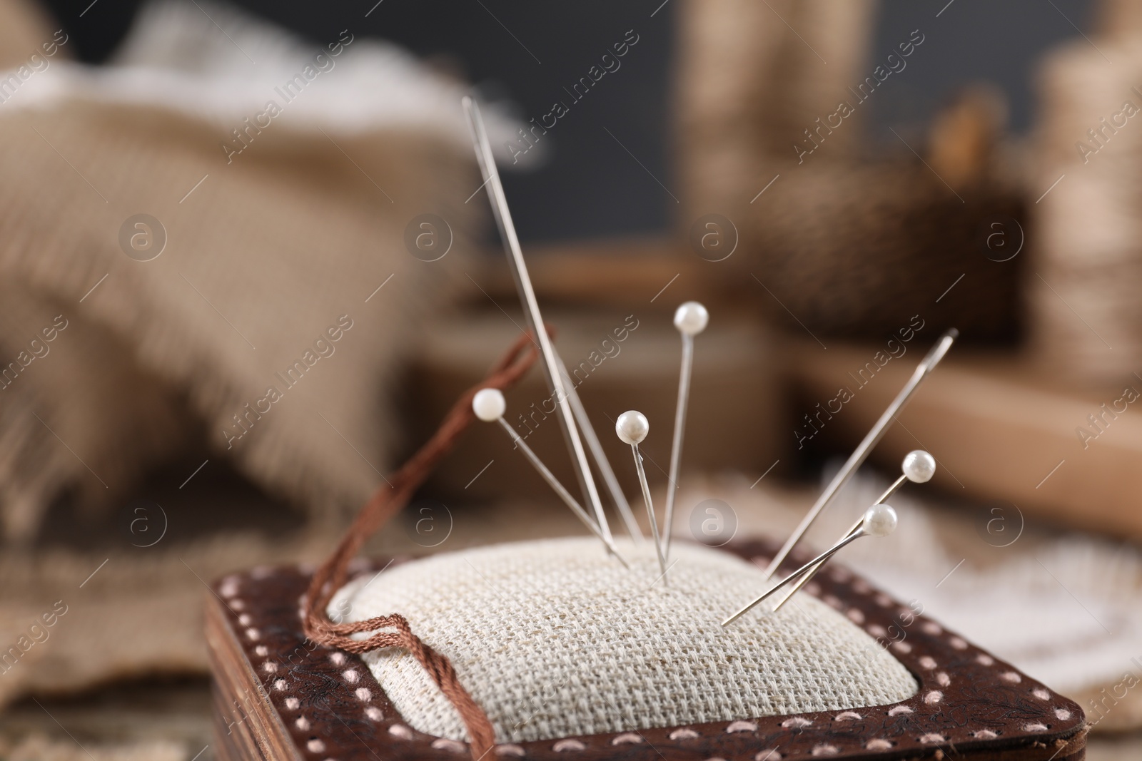 Photo of Pincushion with sewing needles and pins, closeup