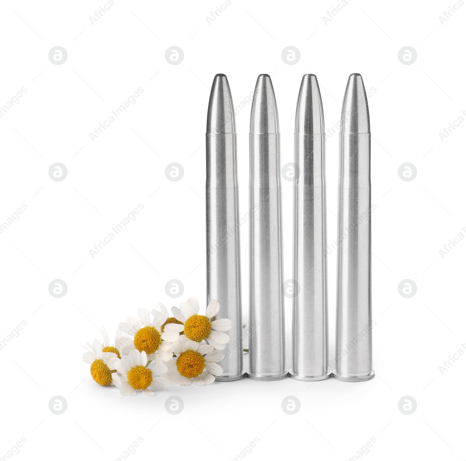 Photo of Metal bullets and beautiful flowers isolated on white