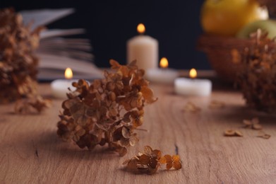 Dried hortensia flowers and burning candles on wooden table, closeup