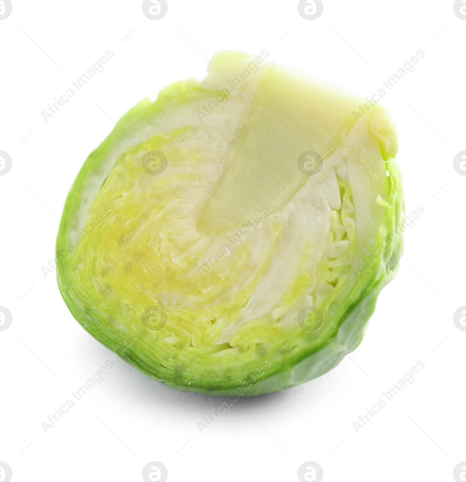 Photo of Fresh cut Brussels sprout on white background