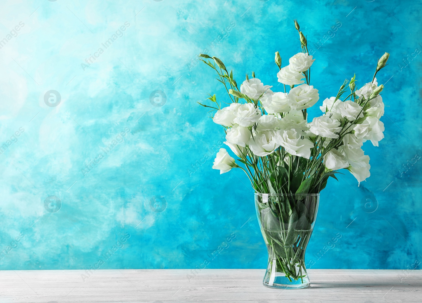 Photo of Vase with beautiful Eustoma flowers on table against color background