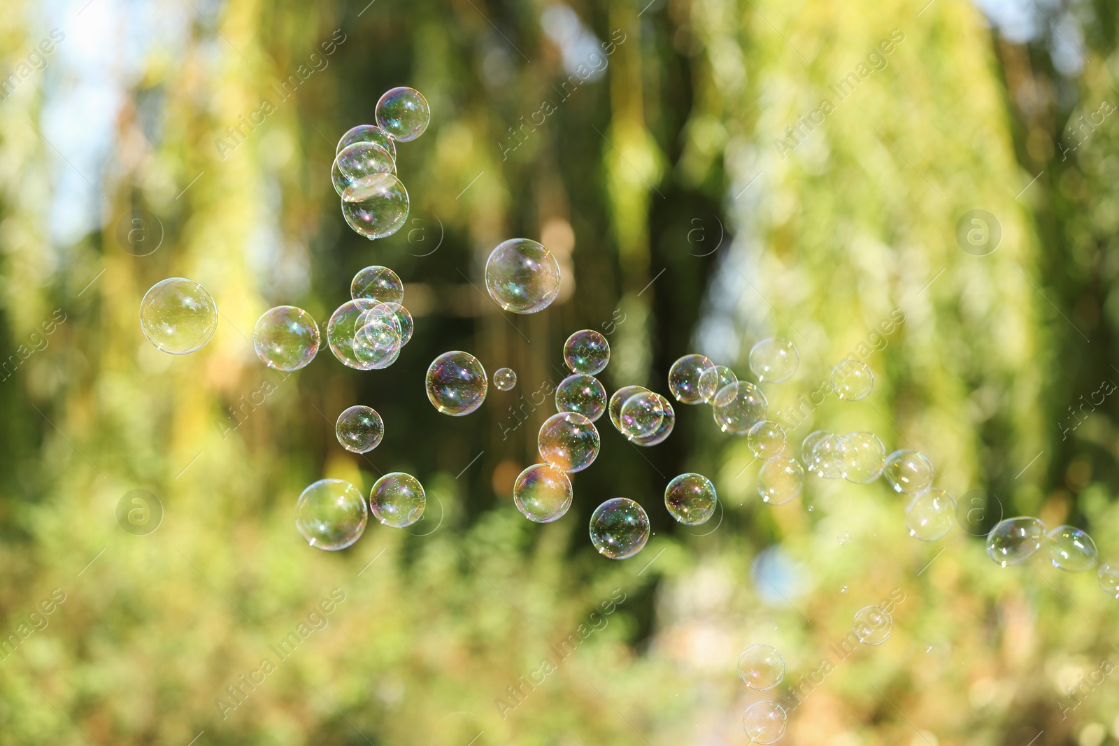 Photo of Beautiful translucent soap bubbles outdoors on sunny day