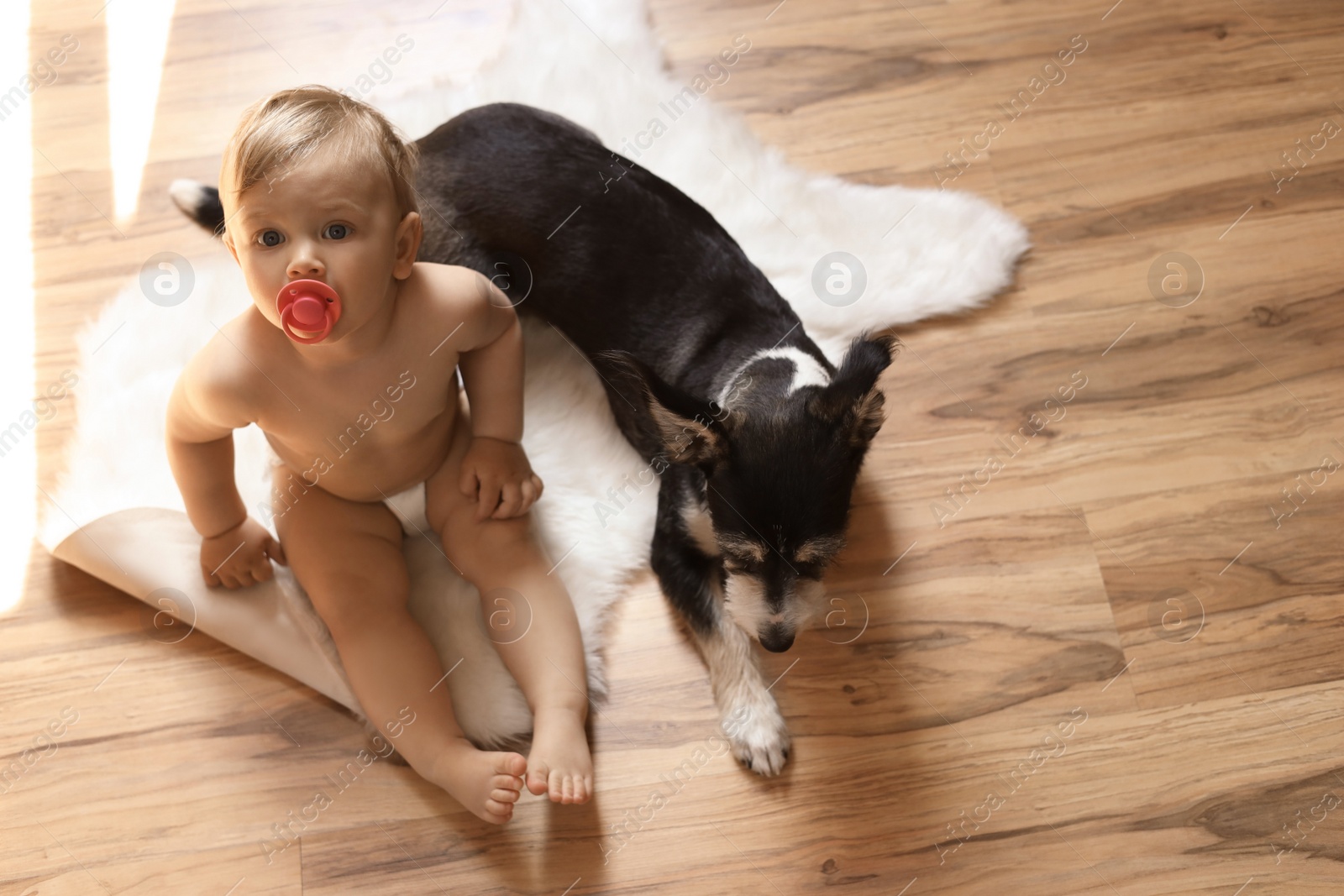 Photo of Adorable baby with pacifier and cute dog on faux fur rug, above view