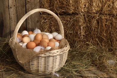Photo of Wicker basket with fresh chicken eggs and dried straw in henhouse. Space for text