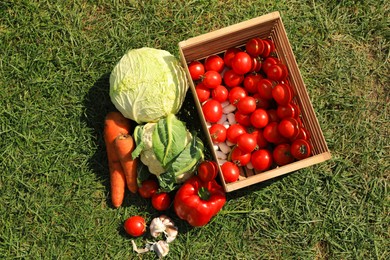 Different tasty vegetables on green grass outdoors, top view