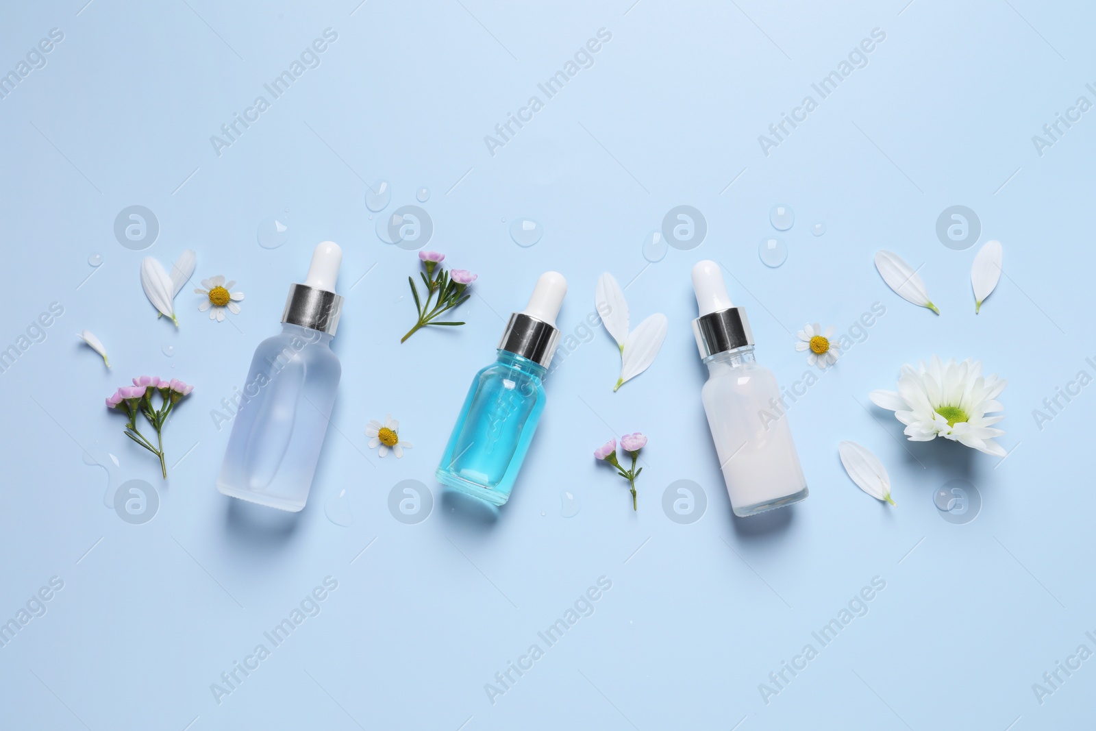 Photo of Bottles of cosmetic serums, flowers and petals on light blue background, flat lay