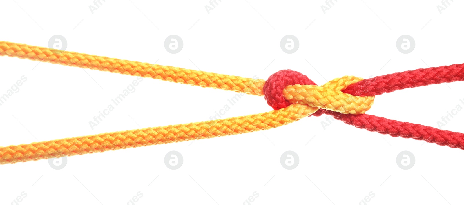 Photo of Colorful ropes tied together with knot isolated on white. Unity concept