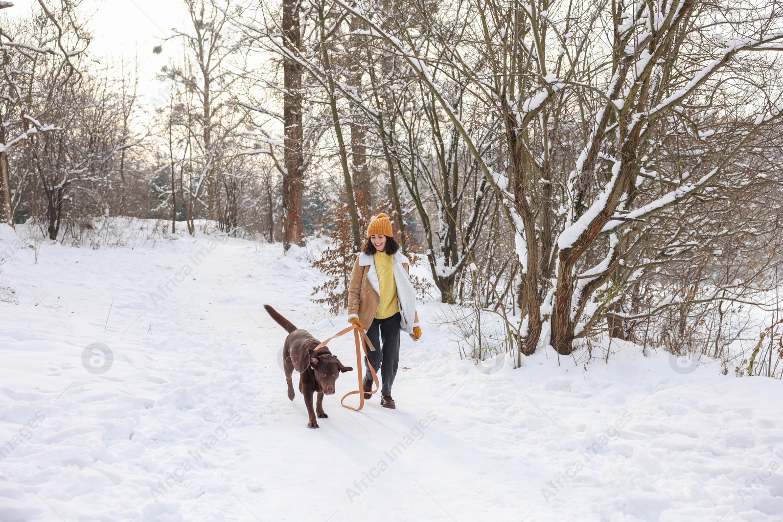 Photo of Woman walking with adorable Labrador Retriever dog in snowy park