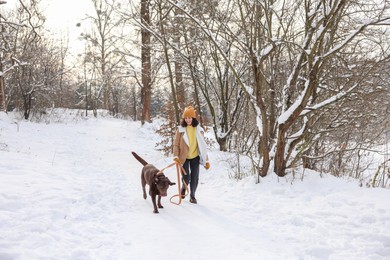 Photo of Woman walking with adorable Labrador Retriever dog in snowy park