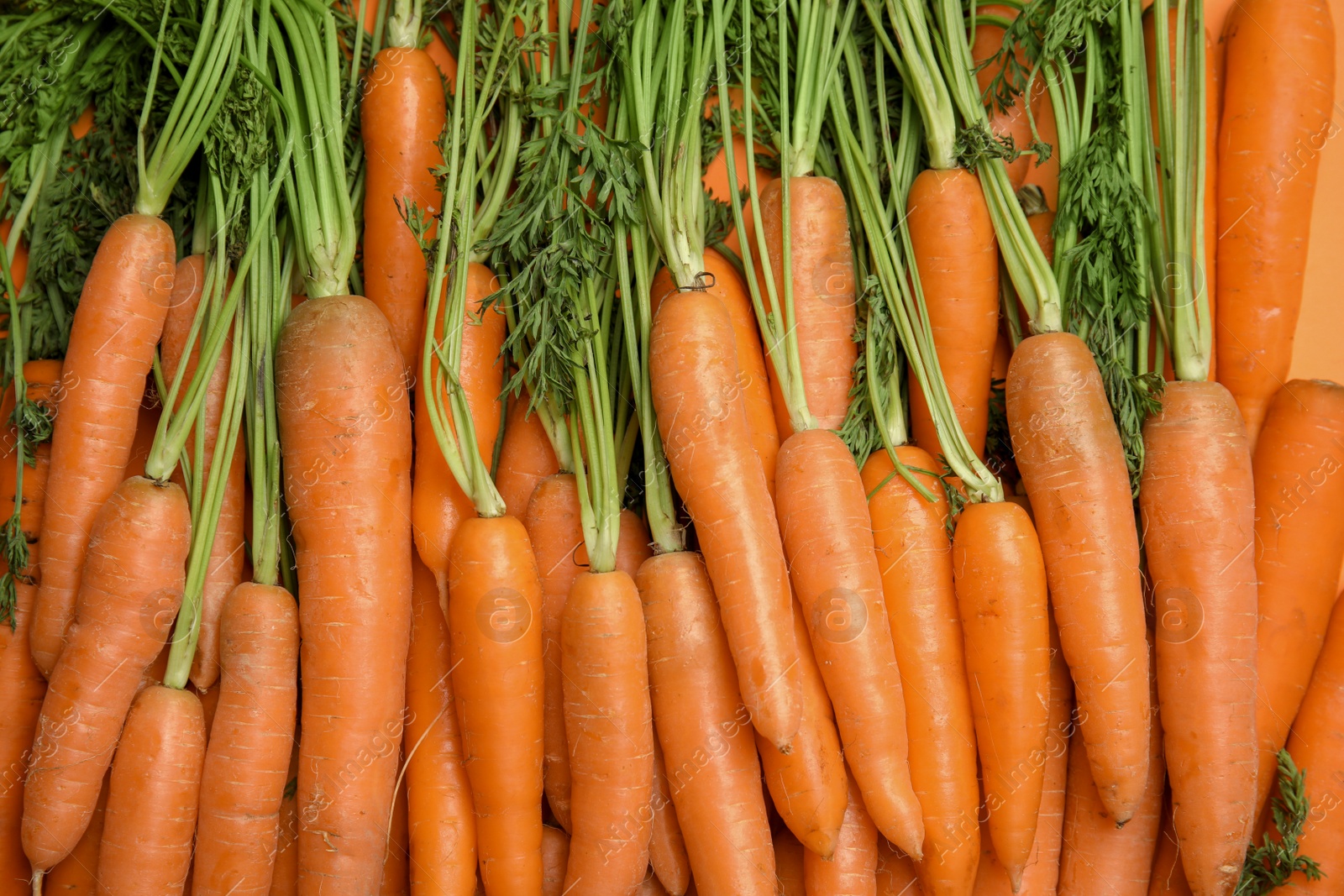 Photo of Ripe carrots as background, top view. Healthy diet