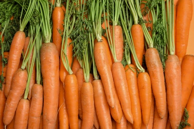 Photo of Ripe carrots as background, top view. Healthy diet