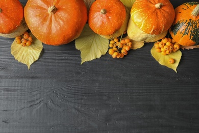 Orange pumpkins on dark background, flat lay composition with space for text. Autumn holidays