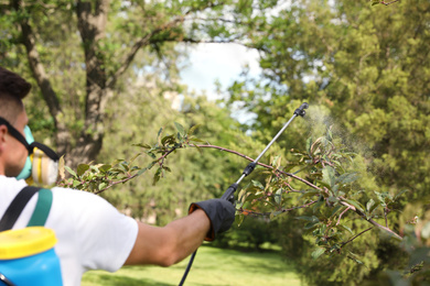 Photo of Worker spraying pesticide onto tree outdoors, closeup. Pest control
