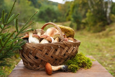 Photo of Wicker basket with fresh wild mushrooms on wooden table outdoors