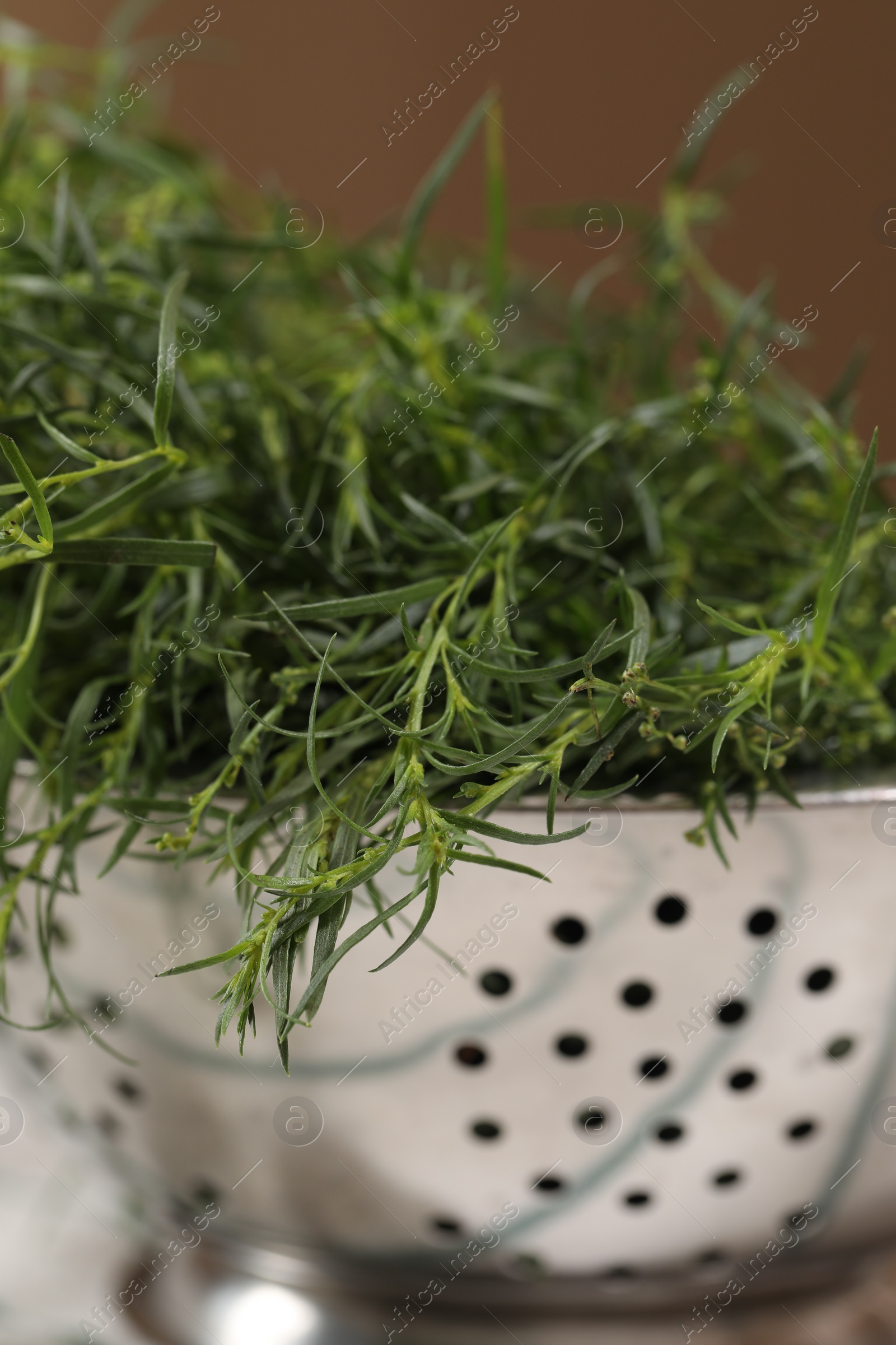 Photo of Fresh tarragon leaves in metal colander, closeup