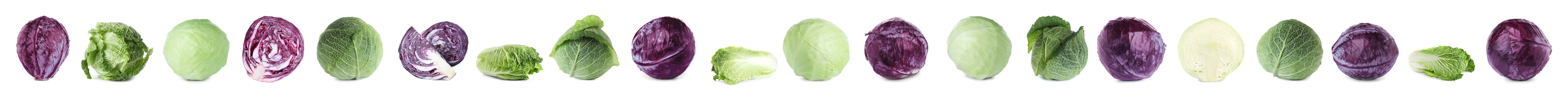 Image of Set of different fresh cabbages on white background. Banner design