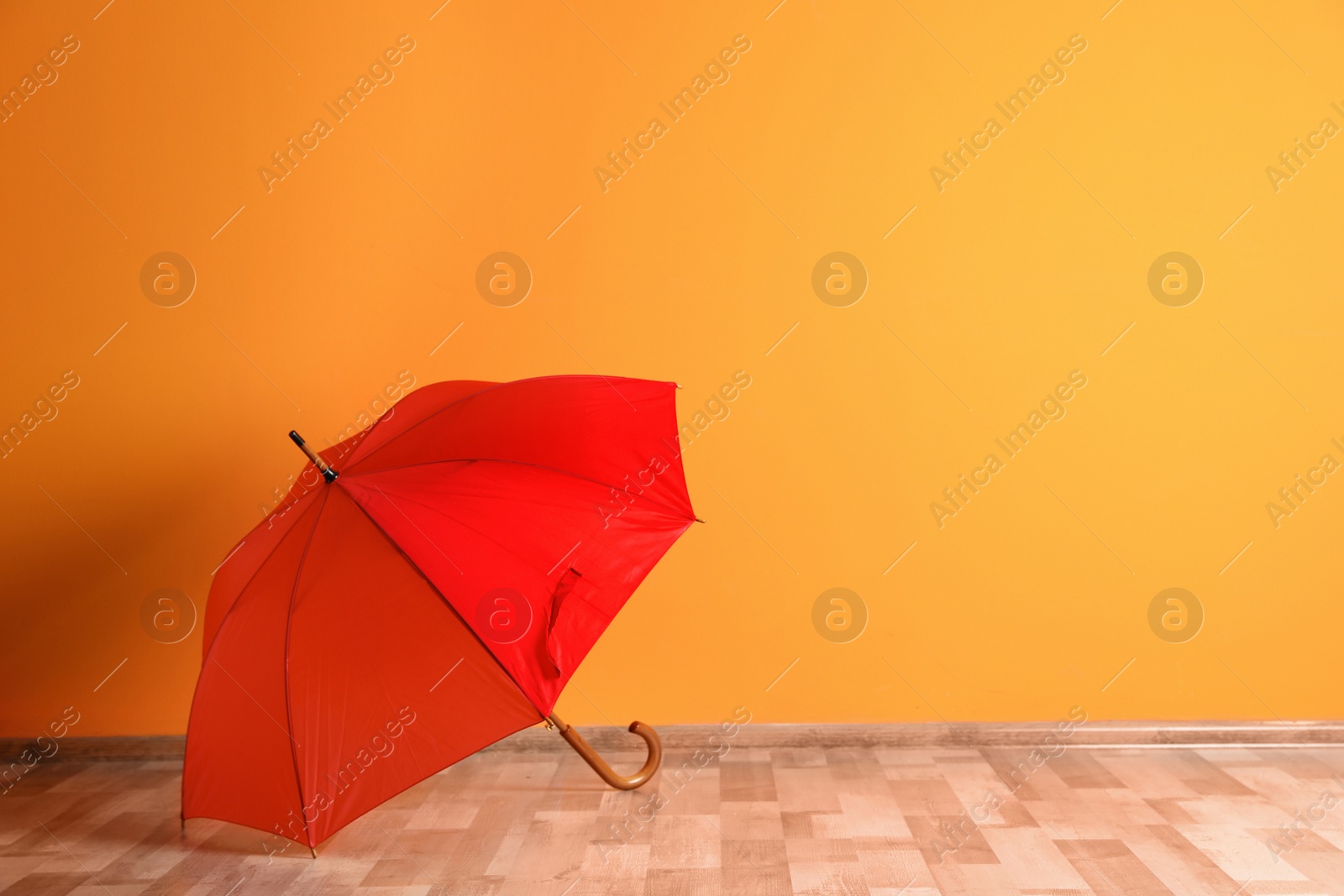 Photo of Beautiful open umbrella on floor near color wall with space for design