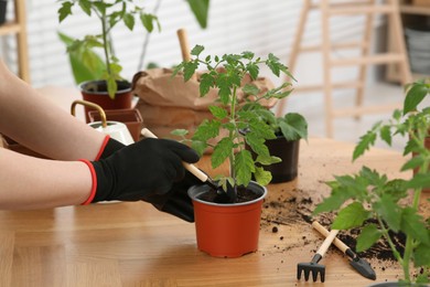 Woman planting seedling in pot at table indoors, closeup