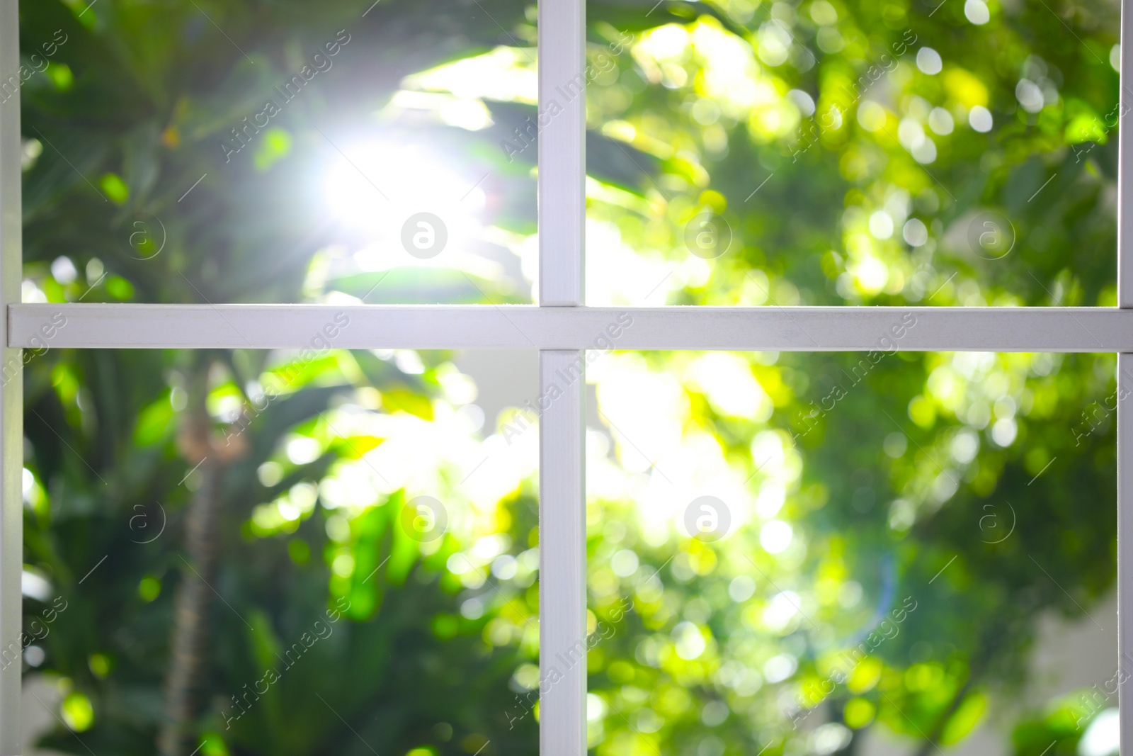 Photo of Beautiful view through window on garden in morning