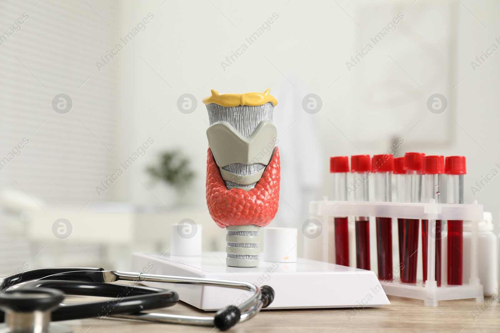 Photo of Endocrinology. Stethoscope, model of thyroid gland and blood samples in test tubes on table indoors