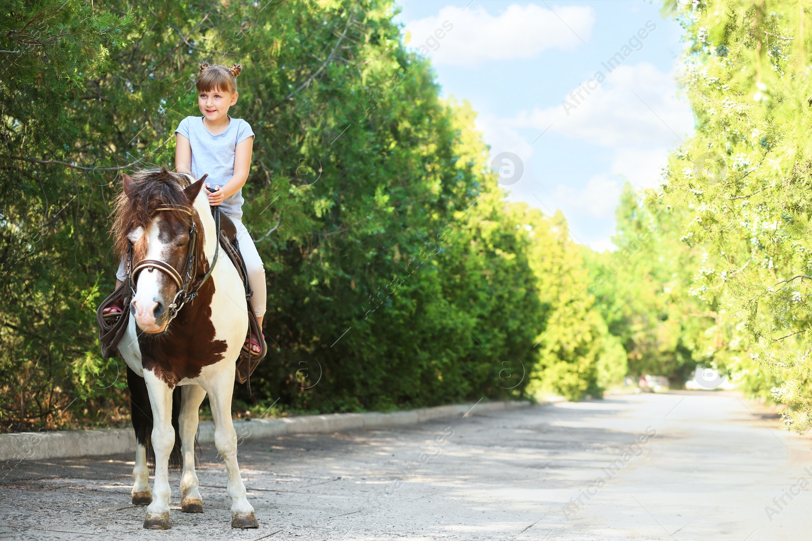 Photo of Cute little girl riding pony in green park