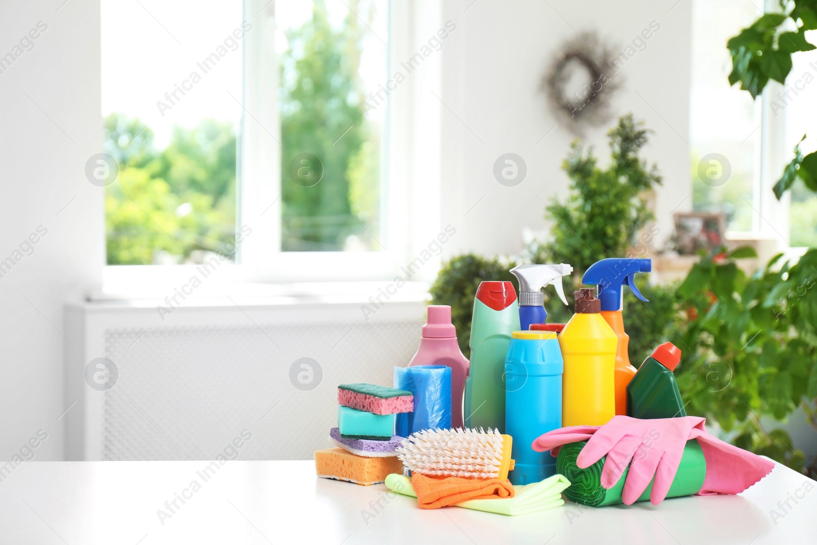 Photo of Set of cleaning supplies on table indoors