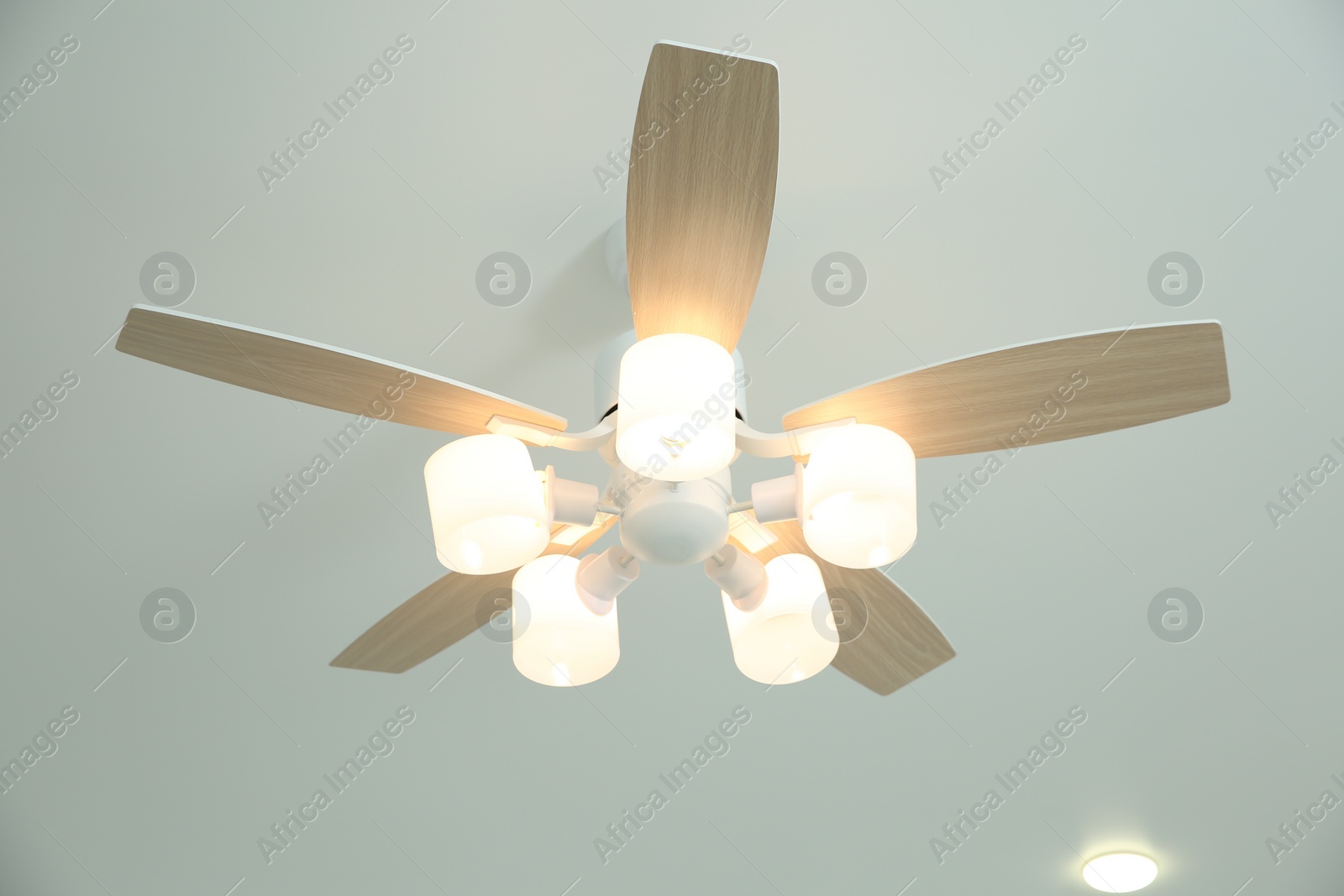 Photo of Ceiling fan with lamps indoors, low angle view