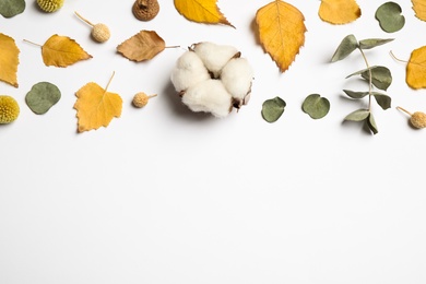 Flat lay composition with autumn leaves and space for text on white background