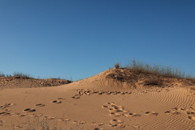 Picturesque view of desert on sunny day