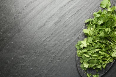 Photo of Fresh coriander on dark gray textured table, top view. Space for text