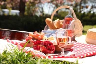 Delicious food and wine on picnic blanket in park