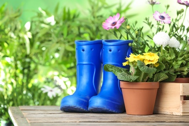 Photo of Potted blooming flowers and gumboots on wooden table, space for text. Home gardening