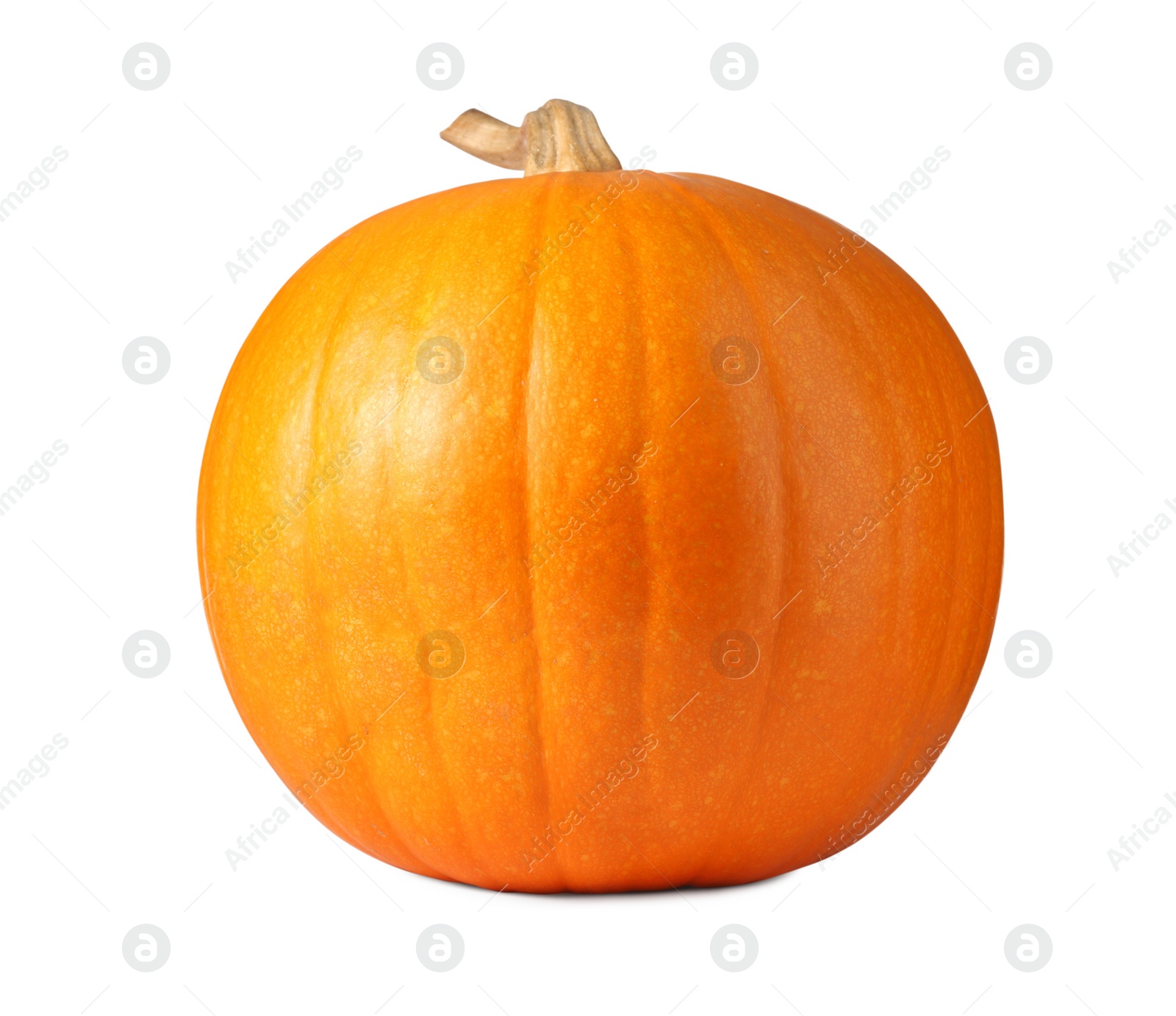 Photo of One fresh orange pumpkin isolated on white