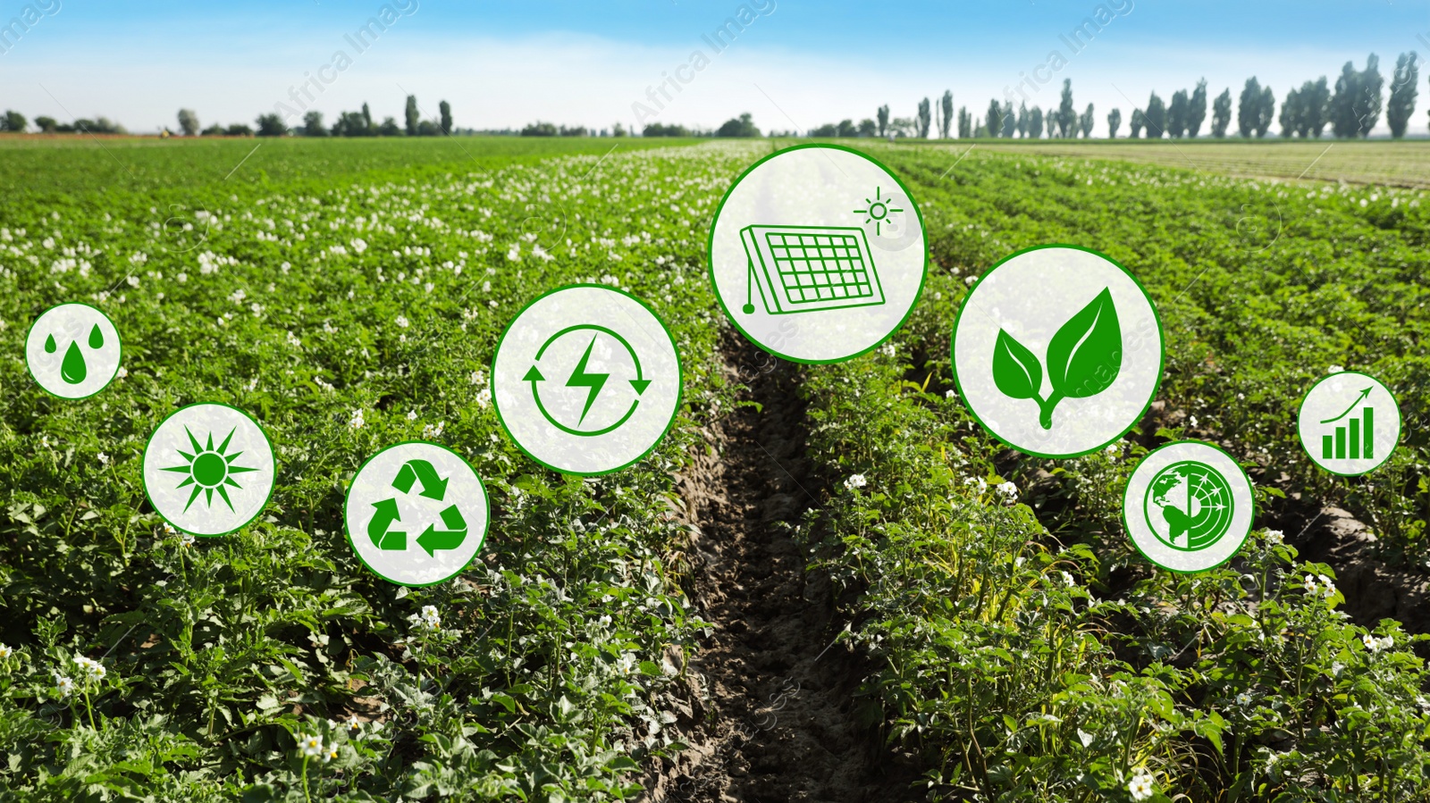 Image of Modern agriculture concept. Icons and field on background