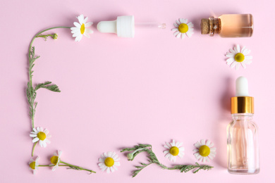 Frame made with bottles of essential oil and chamomiles on pink background, flat lay. Space for text