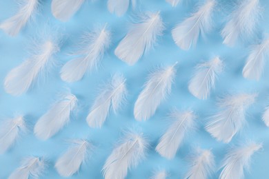 Fluffy white feathers on light blue background, flat lay