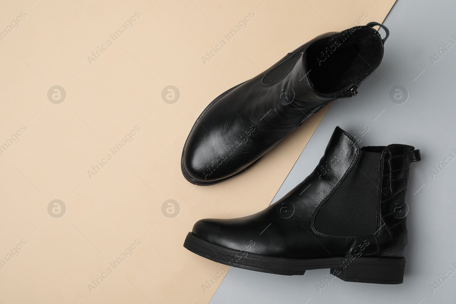 Photo of Stylish black female boots on color background, flat lay. Space for text