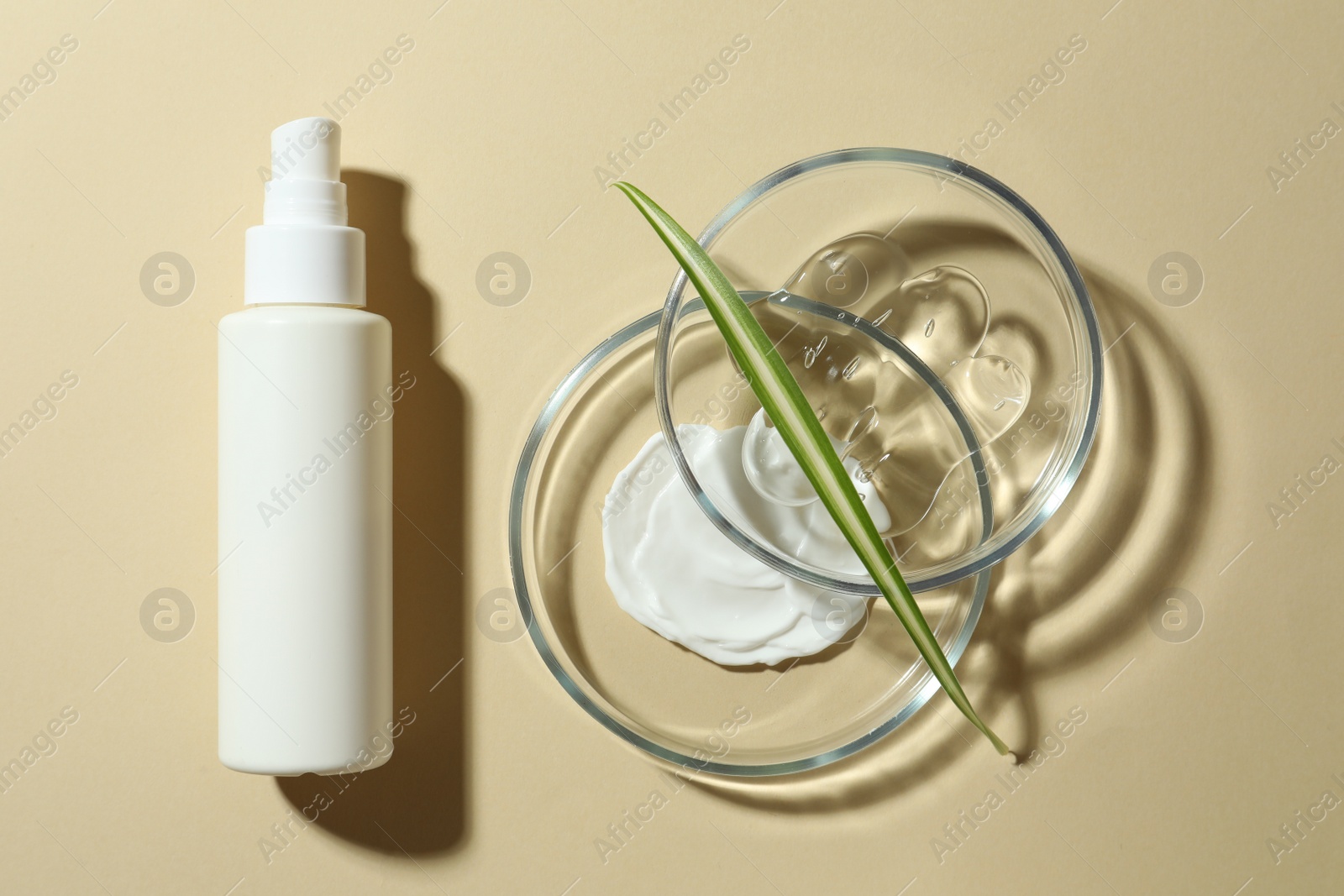 Photo of Petri dishes with cosmetic products and leaf on beige background, flat lay