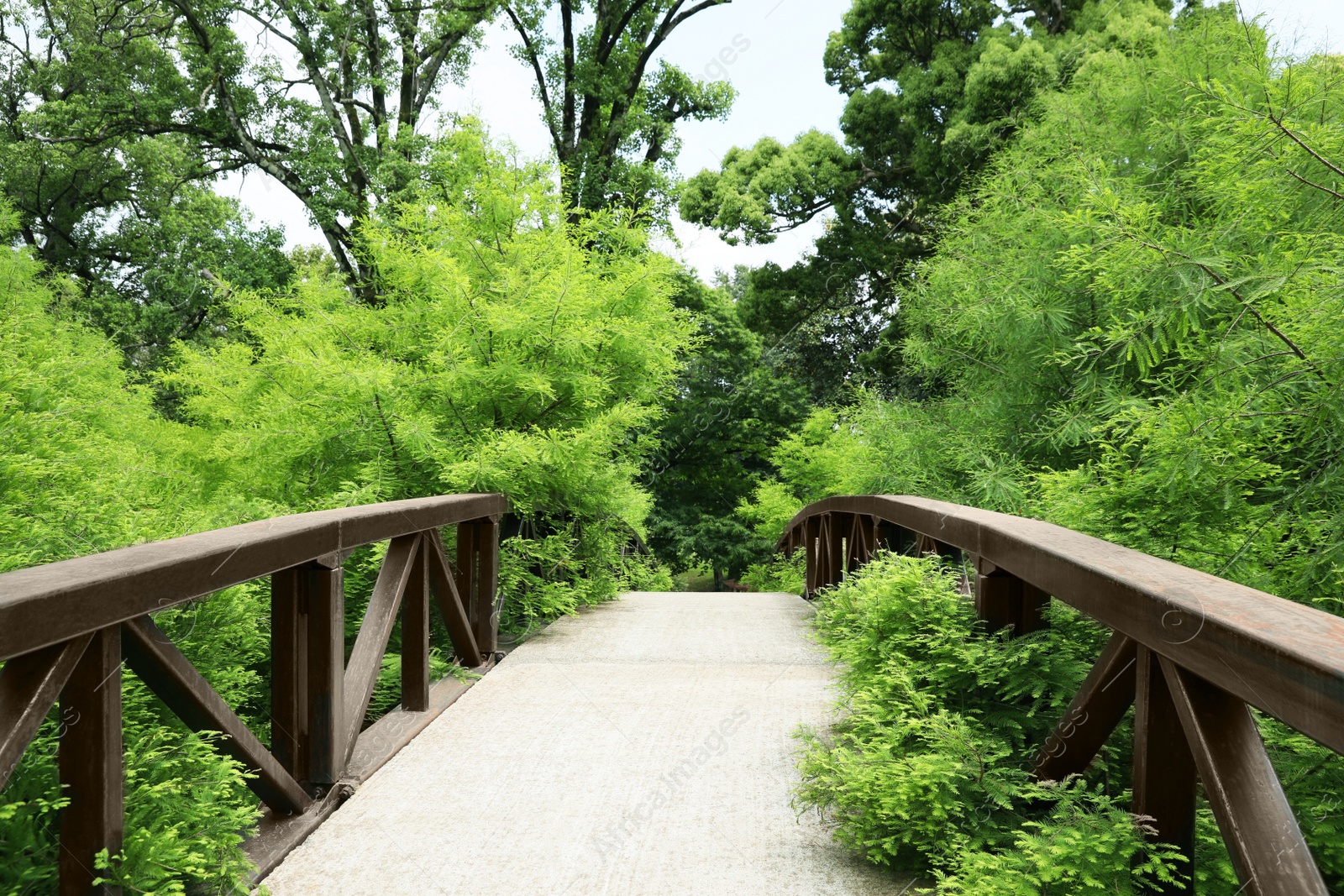 Photo of Picturesque view of bridge in beautiful green park