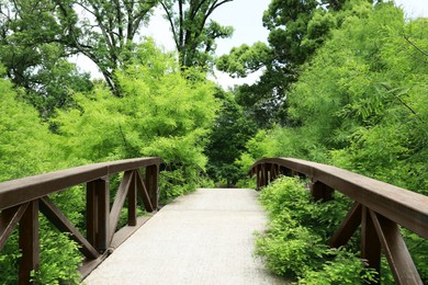 Picturesque view of bridge in beautiful green park